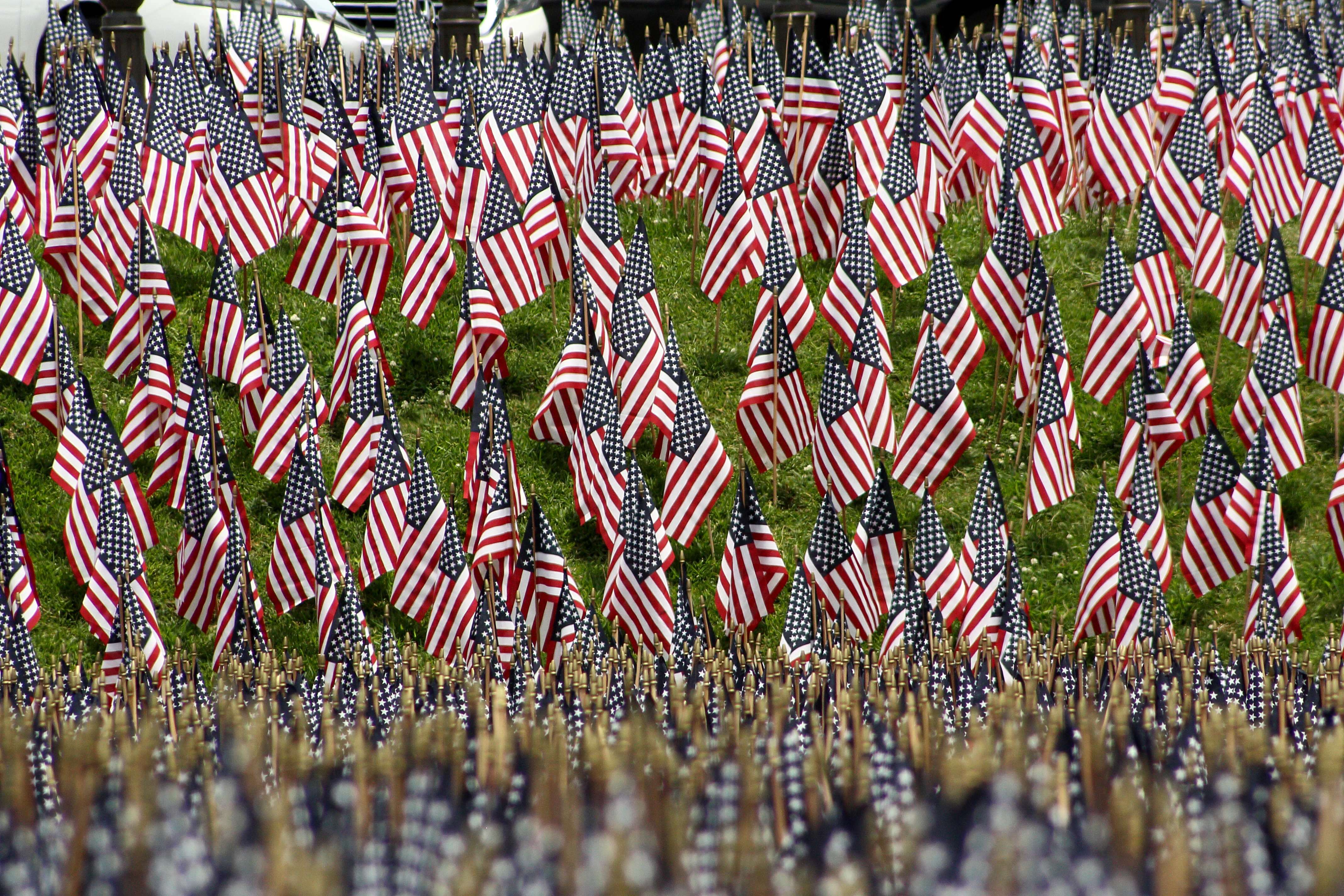 Flags for Fallen Soldiers Shutterbug